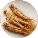 Panax Ginseng Extract raw material